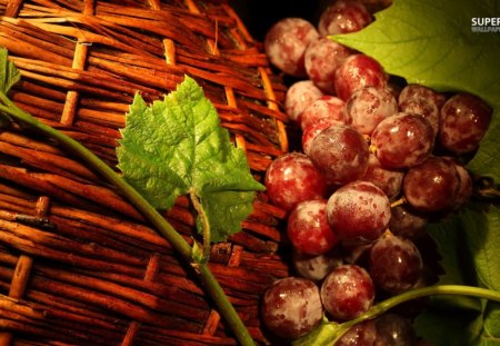 Grapes - nature, grapes, food, fruits