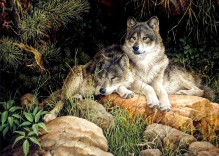 WILD LOVE - relaxing, love, wolves, forest, couple, plants, rocks