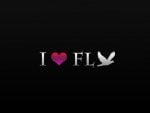 I love flying