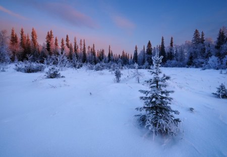 Winter - sky, clouds, snow, winter, sunset