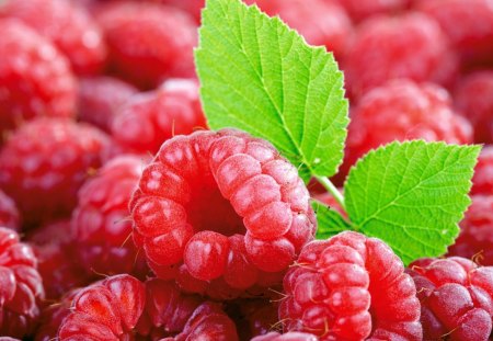 sweet raspberry - sweet, red, green, raspberry