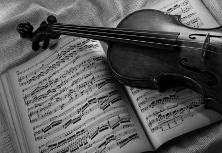 * - art, artwork, music, wp, violin, bw, creative