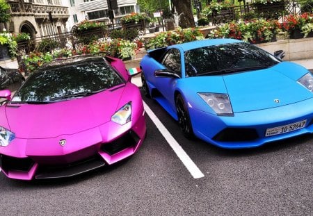 pink and blue lamborghinis - cars, parked, blue, pink