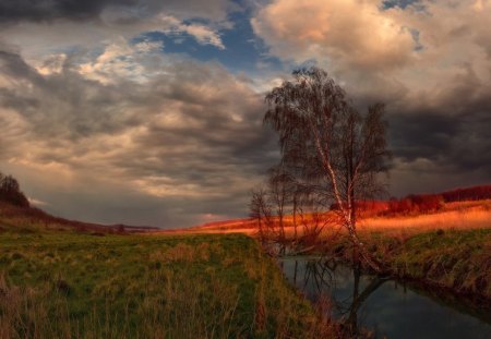 Sunset - clouds, sunset, tree, sky