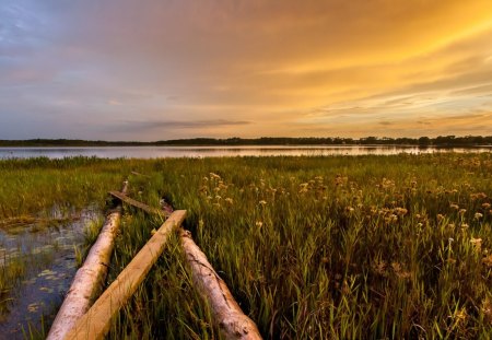 Sunset - sky, sunset, grass, clouds