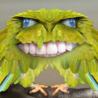 Smiling Green Birdy