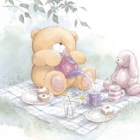 Teddy Bear's Picnic