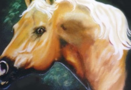 Palomino - horses, animals, painting, palomino