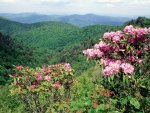 Blue ridge parkway