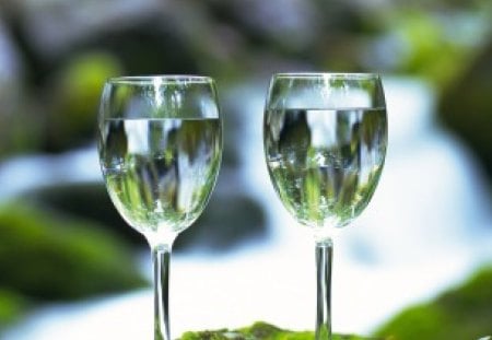 wo Wine Glass - nature, world