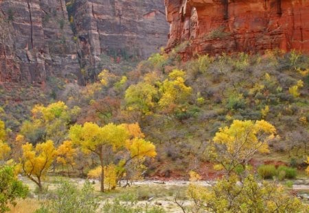 Canyon - canyons, nature