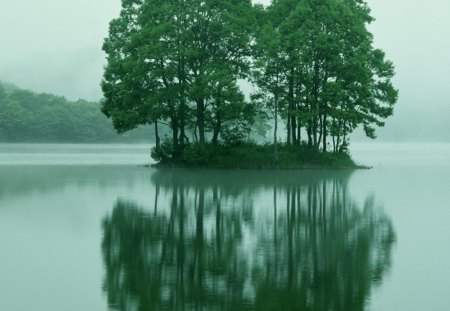 lake - nature, lake, trees, cool