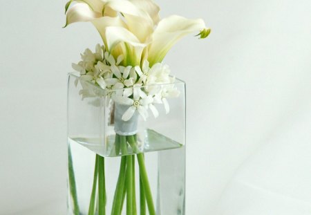 Flower - style, glass, flower, nature