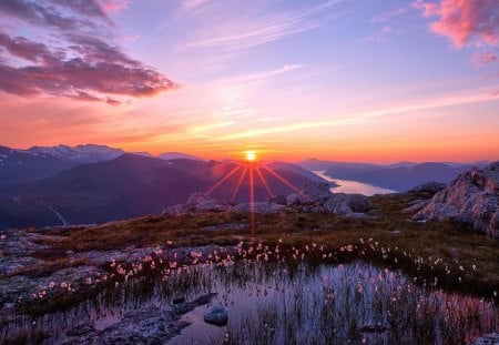 amazing sunset landscape - flowers, mountains, rocks, sunset