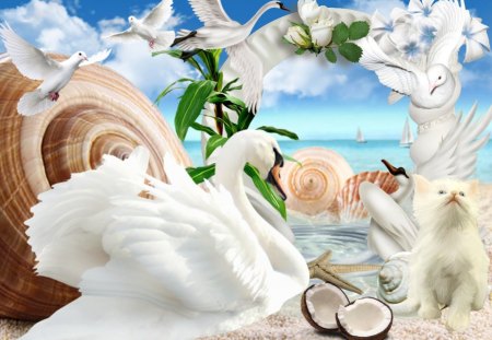 White Swan - white, swan, beach, clouds, water, sea