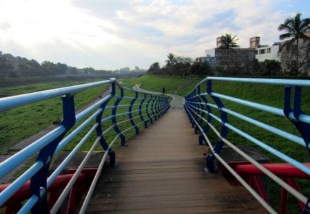 The wetlands  park bridge - person, wetlands, take a walk, exercise, park, bridge