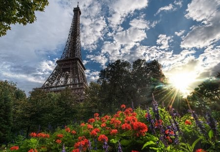 eiffel tower - eiffel, paris, tower, flower