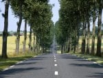 straight road lined by trees