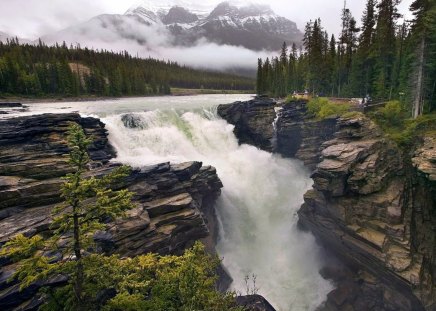 Athabasca Falls,Jasper,Alberta,Canada - rapids, forest, waterfall, rocks