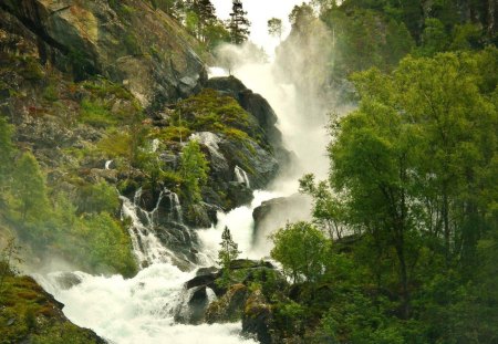 a wild waterfall - trees, wild, cliff, waterfall, foam