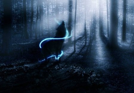 Howling In The Woods - wolf, abstract, woods, animals, fantasy