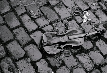 B&W - music, violin, grey, flower