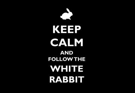 White Rabbit - calm, rabbit, white rabbit, keep calm, bunny, follow, black, white, funny, words, texture