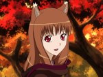 Horo