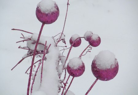 Snow Orbs - Snow, Frozen, Orbs, Ice