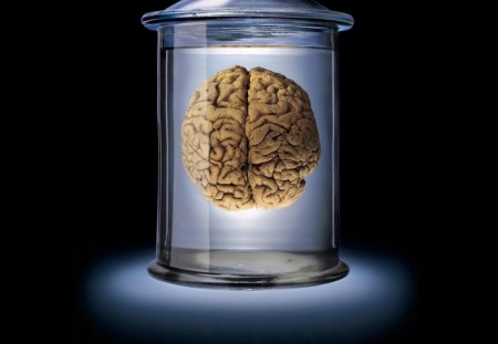 Brain in Jar - entertainment, people, technology, other