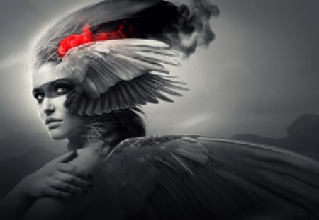 ANGEL - woman, stare, feathers, angel, wings, art, artwork, duotone, protector