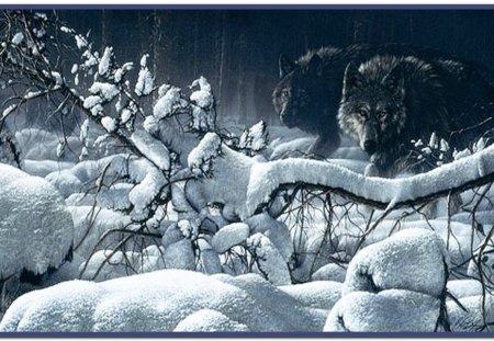 Snowbound - ice, wolves, forest, snow