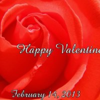 Valentines Day 2013