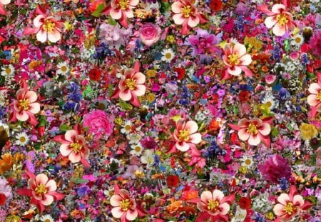 A Wall of Floral Delight - flowers, colorful, nature, wall