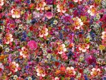 A Wall of Floral Delight