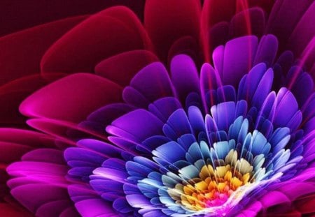 Colorful Floral Abstract - abstract, colorful, purple, flower, art, pink