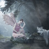 Fairy and Wolf