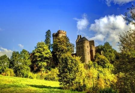 *** GERMANY-Kasselburg castle *** - germany, trees, architecture, castle, top