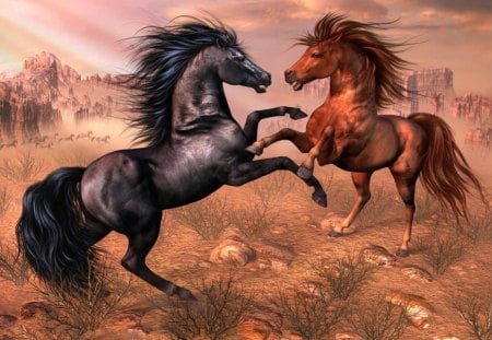 Arabian horses - animal, art, horse, arabian