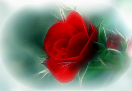 Fractal red rose - rose, flower, red, fractal