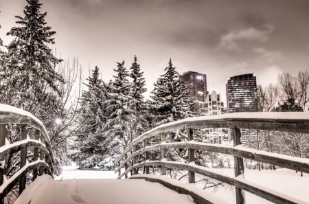 *** Winter in Calgary *** - snow, winter, calgary, nature