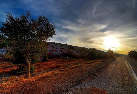 *** Autumn sunset *** - tree, nature, sunset, autumn