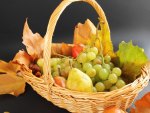 *** Autumn basket ***