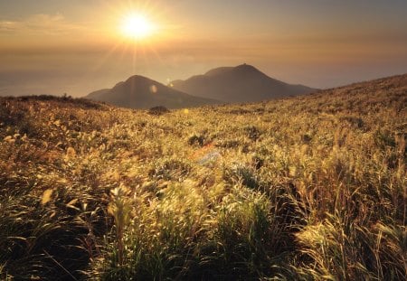 Sun autumn - grass, Sun, mountains, autumn