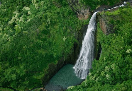 waterfalls - river, waterfalls, forest, green