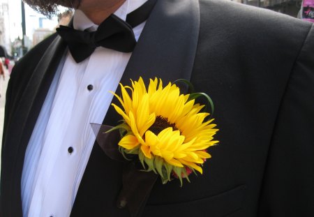 ๑~♥๑ Bright Detail ๑♥~๑ - yellow, forever, beautiful, wedding, fashion, entertainment, love, light, black, sunflower, bright