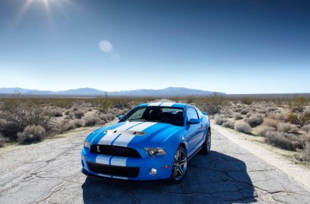 ford shelby gt500 - shelvy, ford, gt500, car