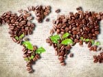 The coffee beans Creative-art world-map