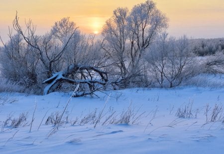 Winter - winter, sky, clouds, snow