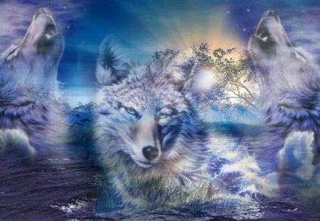 Ghost Wolves - wolf, sky, landscape, shadows, predators